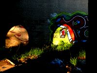 sunlit.graffiti.jpg